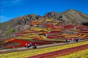 مزرعه بوم گردی لزور
