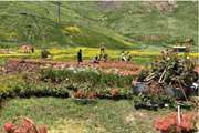 باغ نمایشی لاله ها جنب پیست دیزین