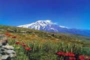 استان مازندران