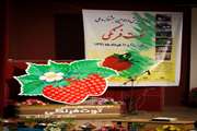 جشنواره توت فرنگی