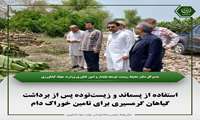 استفاده از پسماند و زیست‌توده پس از برداشت گیاهان گرمسیری برای تامین خوراک دام
